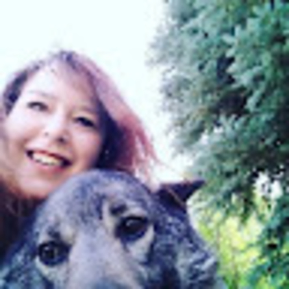 Meet your Posher, Shasta